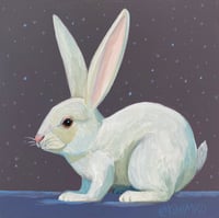 White Rabbit Snow II