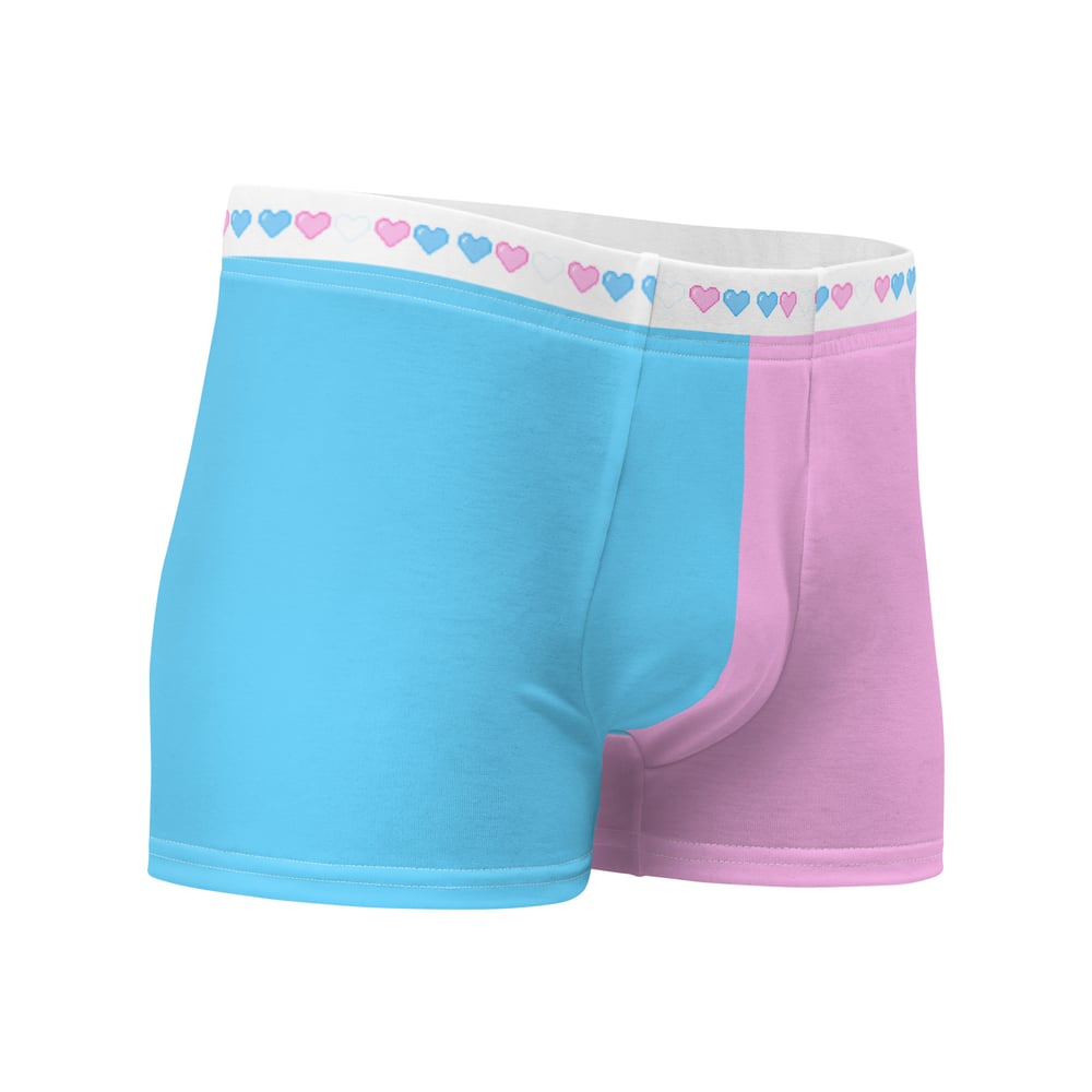 Image of TRANS RIGHTS Boxer Briefs