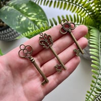 Image 2 of Skeleton Key