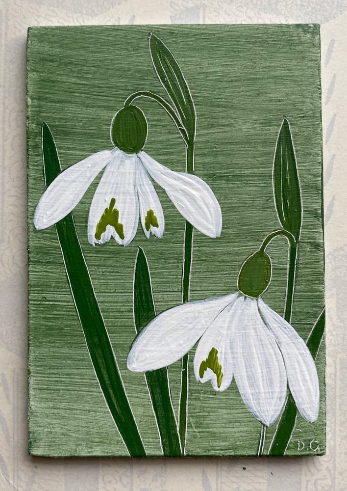 Image of Snowdrop Study (A)