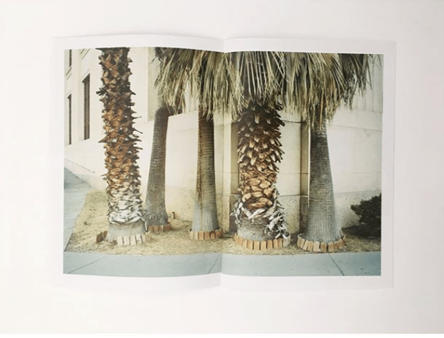 Blue Springs - published by Rough Trade Image 4