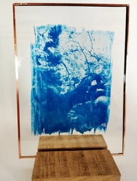 Image 1 of Cyanotype sur verre de l'Ancêtre