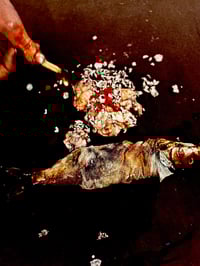 Image 5 of A Rite of Passage: Early Years of Vienna Actionism 1960-1966