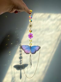 Image 2 of 🦋Morpho Butterfly Suncatcher🦋