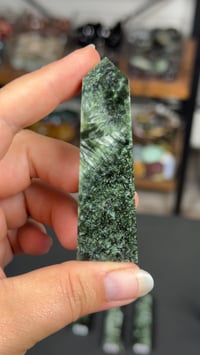 Image 4 of Seraphinite Points