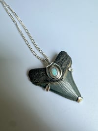 Image 1 of Megalodon Pendant with Australian Opal 