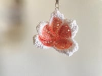 Image 2 of blushing plumerias