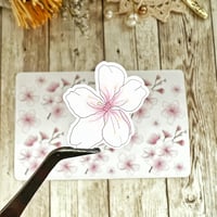 Image 5 of Sakura Flower Sticker Sheet | Transparent & Premium White Vinyl