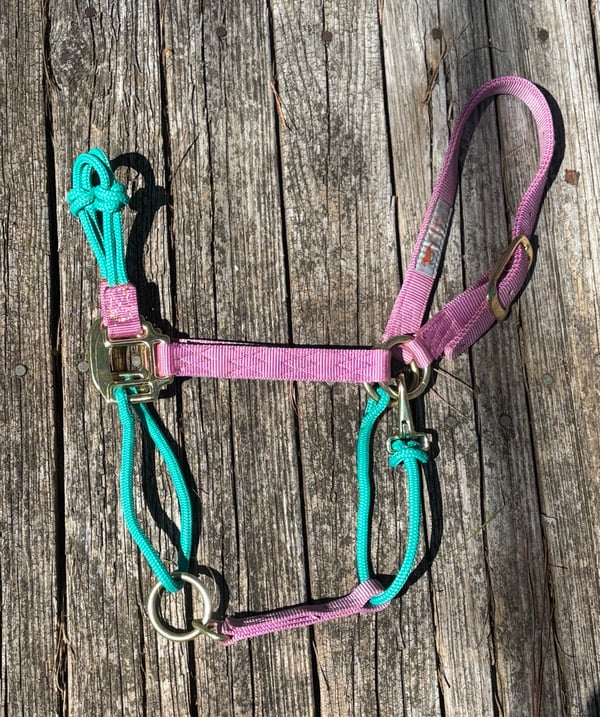 Image of Fusion Halter 