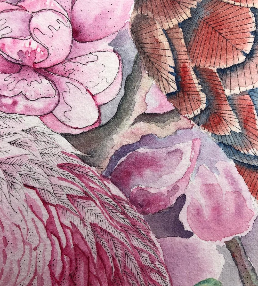 Image of Spring Vulture