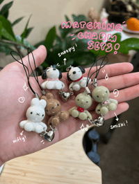 Image 1 of magnetic matching charm sets 🌷