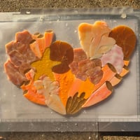 Image 4 of Coral Heart Pattern