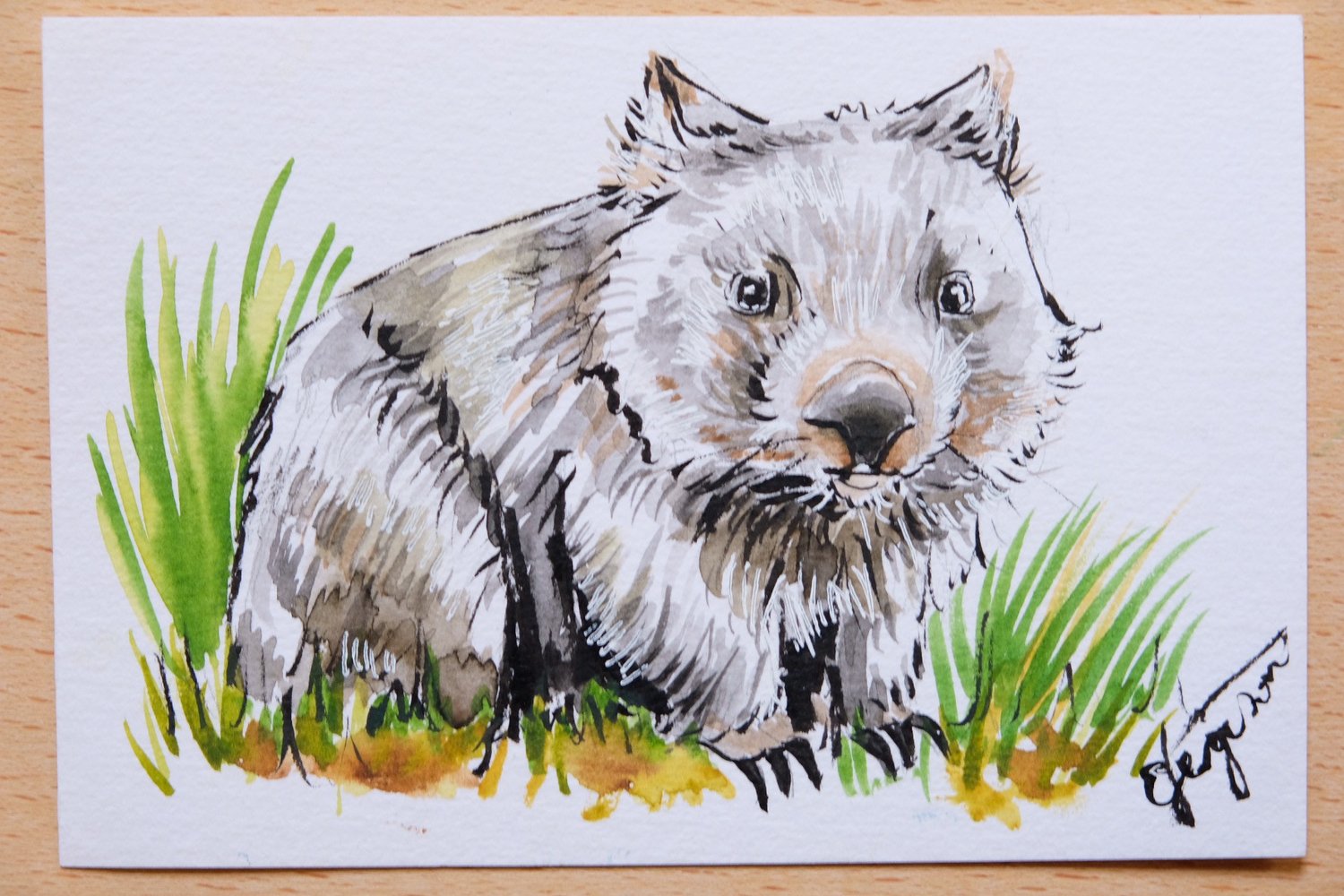 Image of 'Aussie Animals' Postcard Set 