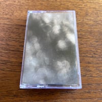 Insect Factory/Rotten Milk split