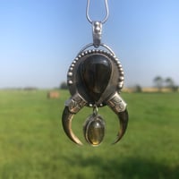 Image 3 of Labradorite and porcupine claw