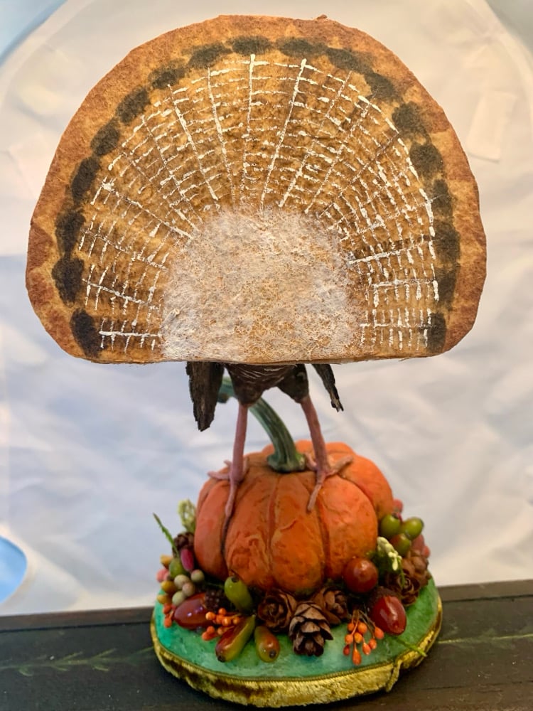 Image of Turkey Tom Figure 6