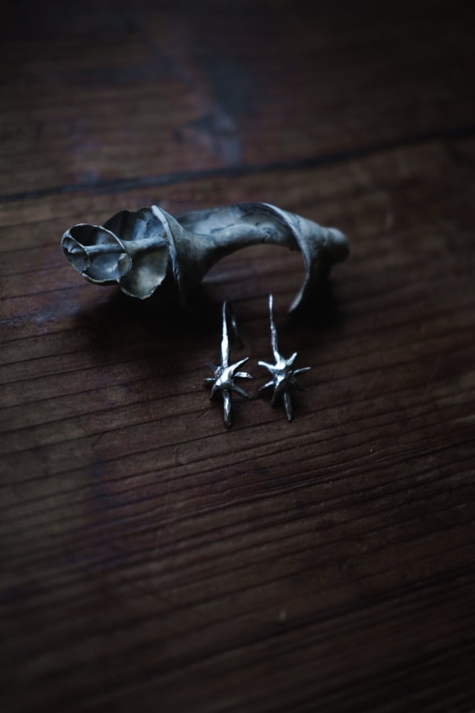 Image of Tân y Nos Earrings ~ small