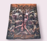 Image 4 of Disgorge - Revealed In Obscurity 