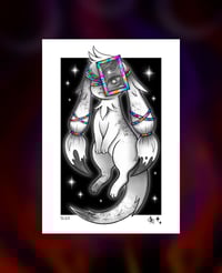 PRINT NUALI (shiny)