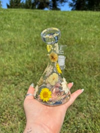 Image 2 of Marisol