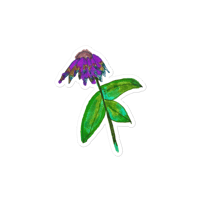 Coneflower Sticker