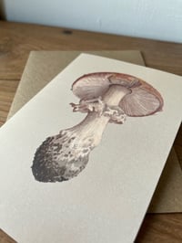 Image 2 of Amanita muscaria II Greeting Card