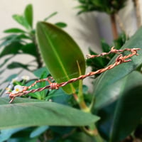 Image 1 of Barbed Wire Choker- Copper