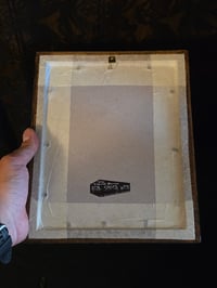 Image 5 of “Jesus and Mary “1800's bible page with preserved spider 