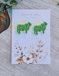 Image 1 of St. Patrick Brahman 