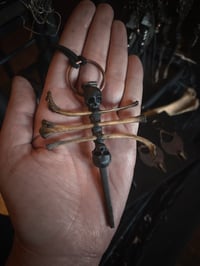 Image 2 of Bones & skulls 