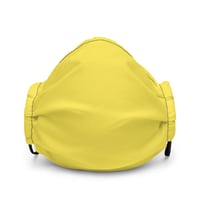 Image 2 of PARIS DAISY FACE MASK