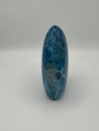 Image 3 of Blue Apatite Freeform
