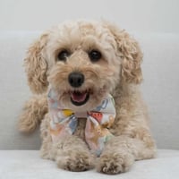 Image 3 of TEDDY TEA PAWTY SAILOR BOW