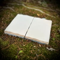 Image 4 of Sky Blue Damask : Commonplace Book