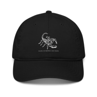 Image 1 of Dark Scorpion Records Hat