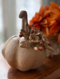 Image 2 of Calabaza Otoño LG 