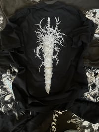 Image 2 of White Pony