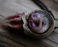 Image 7 of Nebula Hatchling Snaggletooth Pendant - Handmade,  2" OOAK