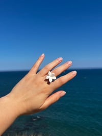 Image 1 of Anillo jazmín 