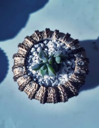 Image 2 of TeraPullover small  (με παχύφυτο)