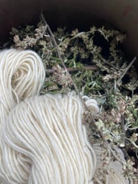 Image 9 of Made to Order: Mugwort Dreaming