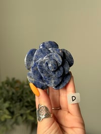 Image 4 of SODALITE  ROSES