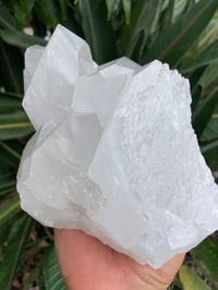 Image 8 of Clear Quartz Self Healed Points Cluster #1189
