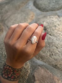 Plain band white buffalo