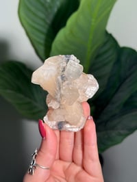 Image 1 of BOWTIE STILBITE X DIAMOND APOPHYLITE -INDIA- A