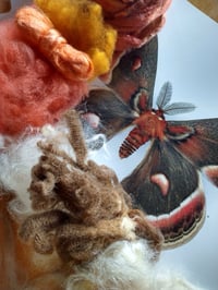 Image 3 of Maryland Winterfest SUPPLY KIT : Inspired by Nature