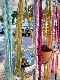 Image 3 of Budget Friendly Plant Hanger