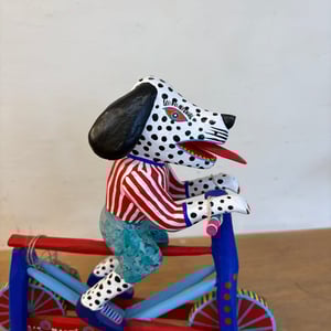 Image of Cyclist from Oaxaca ABFAB 