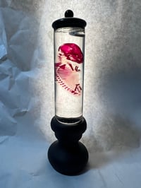 Image 1 of Diaphonized hare embryo (18-22 days gestation) 