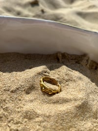 Image 1 of Golden organic rings